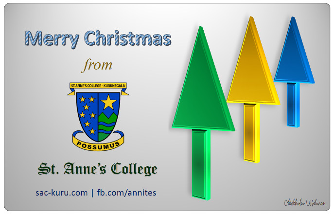 Merry Christmas from Annites Family